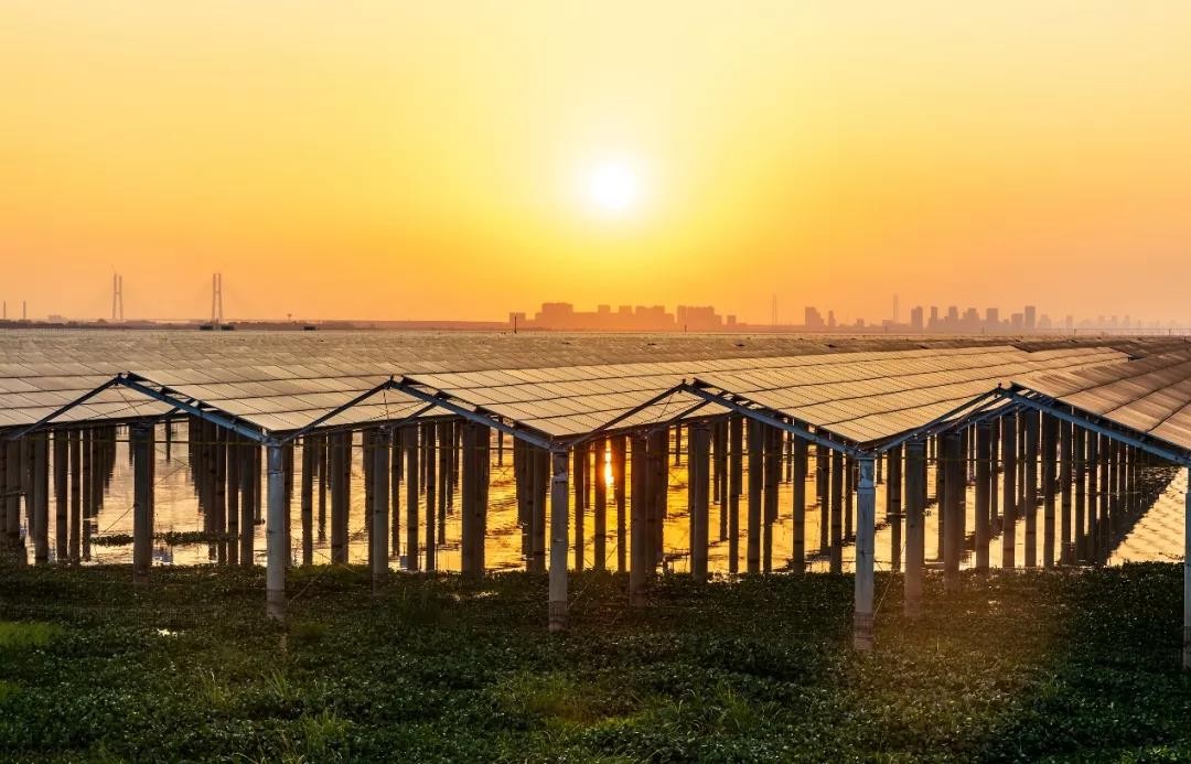 Beyond Success - www.bwin.com Achieved a Preferred Scale of 1120 MW in Jiangxi